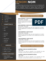 Modèle de CV Design