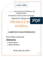 Carbunco Bacteridiano