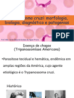 Aula 2 Tripanossoma e Leishmania