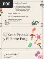 Reino Protista y Fungí