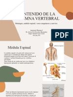 Contenido de La Columna Vertebral