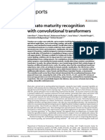 Tomato Maturity Recognition With Convolutional Transformers