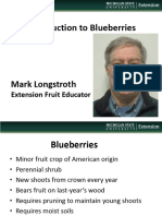 Blueberries 101