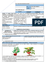 Sesion Ciencia y Tecnologia LAS PLANTAS 26 .06 - 24 2