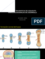 Trauma Pediatria