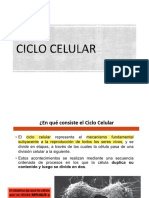 3 Ciclo Celular