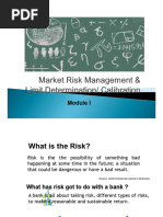 Module 1 - Market Risk Limit Calibration