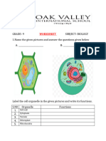 Grade 9 Biology Woksheet