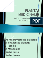 Expociencia. Plantas Medicinales