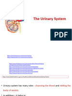 Urine Formation For Class - 12