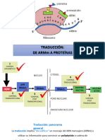 3.6 Traducción