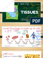 Tissues Slide