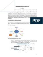 3.1 - Equilibrio Hidroelectrolítico - Sodio