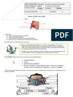 Las Partes Del Libro N Español