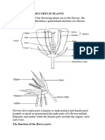 Sexual Reproduction in Plants