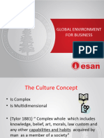 SESION1 Global Hofstede Model