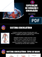 01 - Slide Especialidade Coração e Circulação