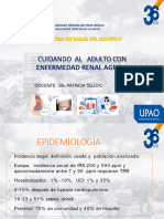 Insuficiencia Renal Aguda