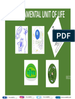 Chapter 5 Fundamental Unit of Life