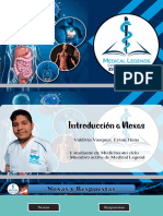 Tema 1 - Introducción A Noxas