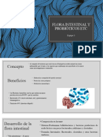 Flora Intestinal y Probióticos Etc