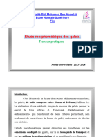 TP Morphométrie Des Galets - PDF 2023