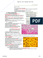 Tejido Óseo - Ross. Histología - Texto Y Atlas 3