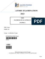 Mathematical Literacy P1 Eng - x5