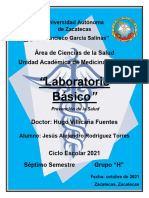 Laboratorio Básico