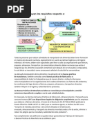 BPM Buenas Practicas de Manofactura Teoria