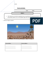 Guia de Actividades #4 Ciencias Naturales 5°básico