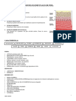 5 6 - Lesiones Elementales de Piel 1° 2°