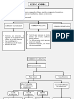 Mapa Conceptual Del Reino Animal 2