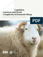 TSP SHEEP WhitePaper