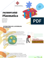 Membrana Plasmatica Grupo 9