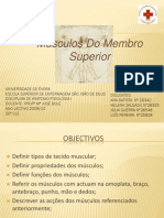 Anatomia Músculos Do Membro Superior