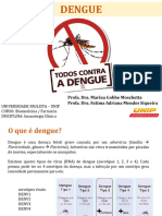 Dengue - Profa Marina Gobbe e Profa Fátima Adriana