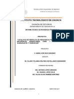 Informe Técnico María José Ruíz Sanginéz