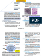 Bcpst1 Introduction Biologie Ev Etude