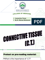 Connective T Interactive Part 1