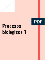 Procesos Biológicos 1