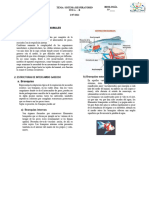 Sistema-Respiratorio-para - ALUMNOS Quinto-Grado-de-SecundariaOKKKKKKK