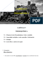 Capítulo 7 PDF