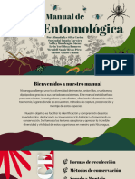 Manual de Caja Entomologica