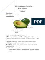 Estudo Do Fruto