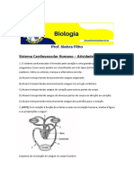 Sistema Cardiovascular Humano - Atividade