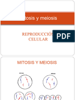 Mitosis y Meiosis