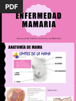 Enfermedad Mamaria