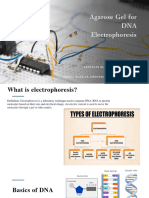 Agarose Gel For DNA Electrophoresis - Prelab Talks - v4 - 20240709