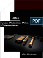 Guia Practica para Guitarristas - Alex Weishaupt